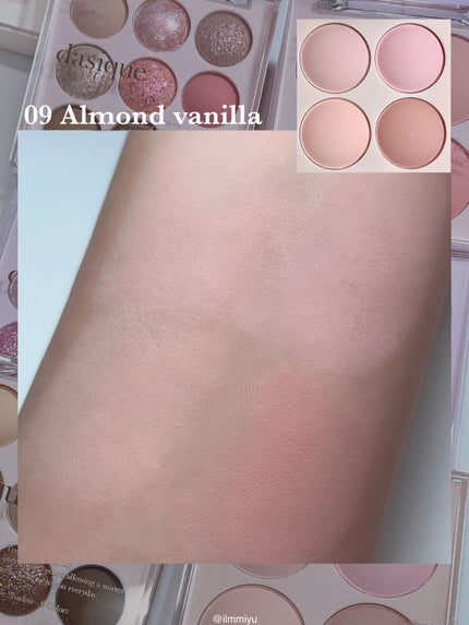 シャドウパレット/dasique/アイシャドウパレットを使ったクチコミ(10枚目)