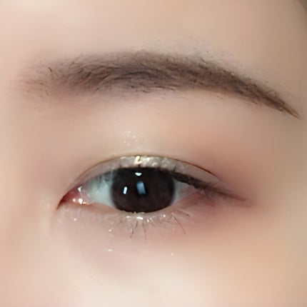 エクスプローラ12色 動物アイシャドウパレット/PERFECT DIARY/アイシャドウパレットを使ったクチコミ(5枚目)