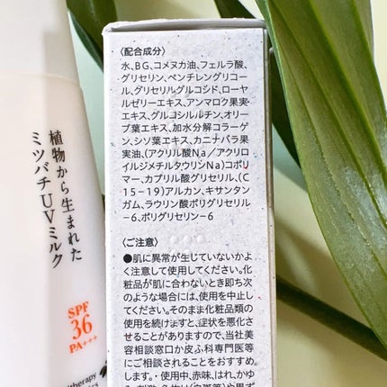 植物から生まれたミツバチUVミルク/アピセラピーコスメティクス/日焼け止めミルクを使ったクチコミ(8枚目)