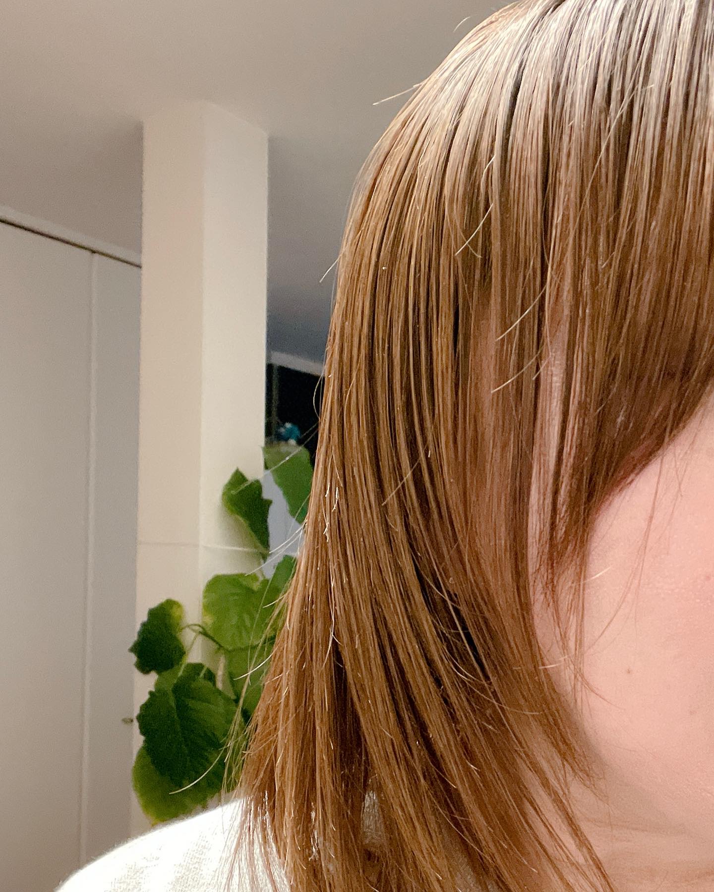 エポプレミアムヘマチン/epo/洗い流すヘアトリートメントを使ったクチコミ（3枚目）