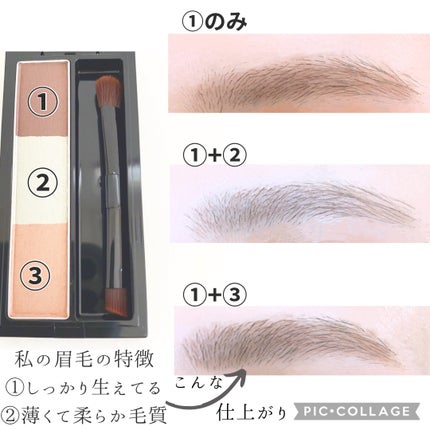 ヴィセ リシェ アイブロウパウダー/Visée/パウダーアイブロウを使ったクチコミ(5枚目)