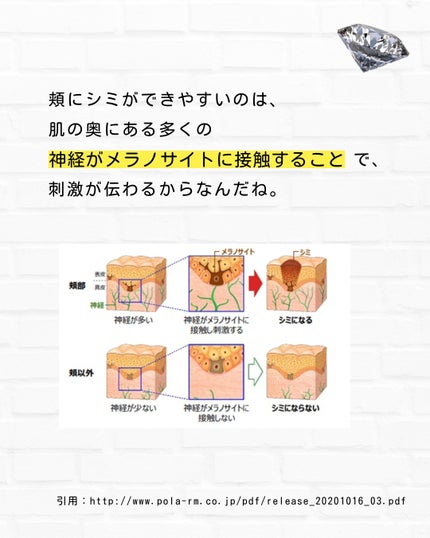 とまと村長@化粧品研究者 on LIPS 「化粧品研究者のとまと村長です🍅今回はシミのメカニズムについ解説..」(7枚目)