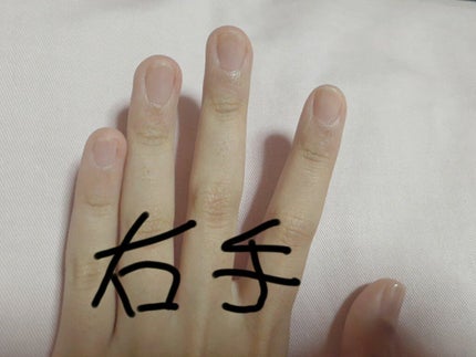 を使ったクチコミ(1枚目)