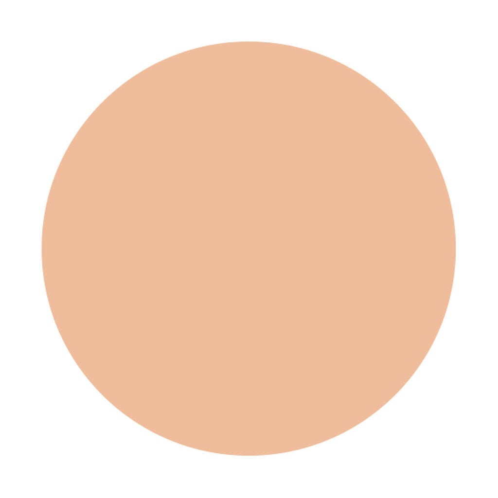 ファンデーション パウダリー(PF) オークル10(レフィル)