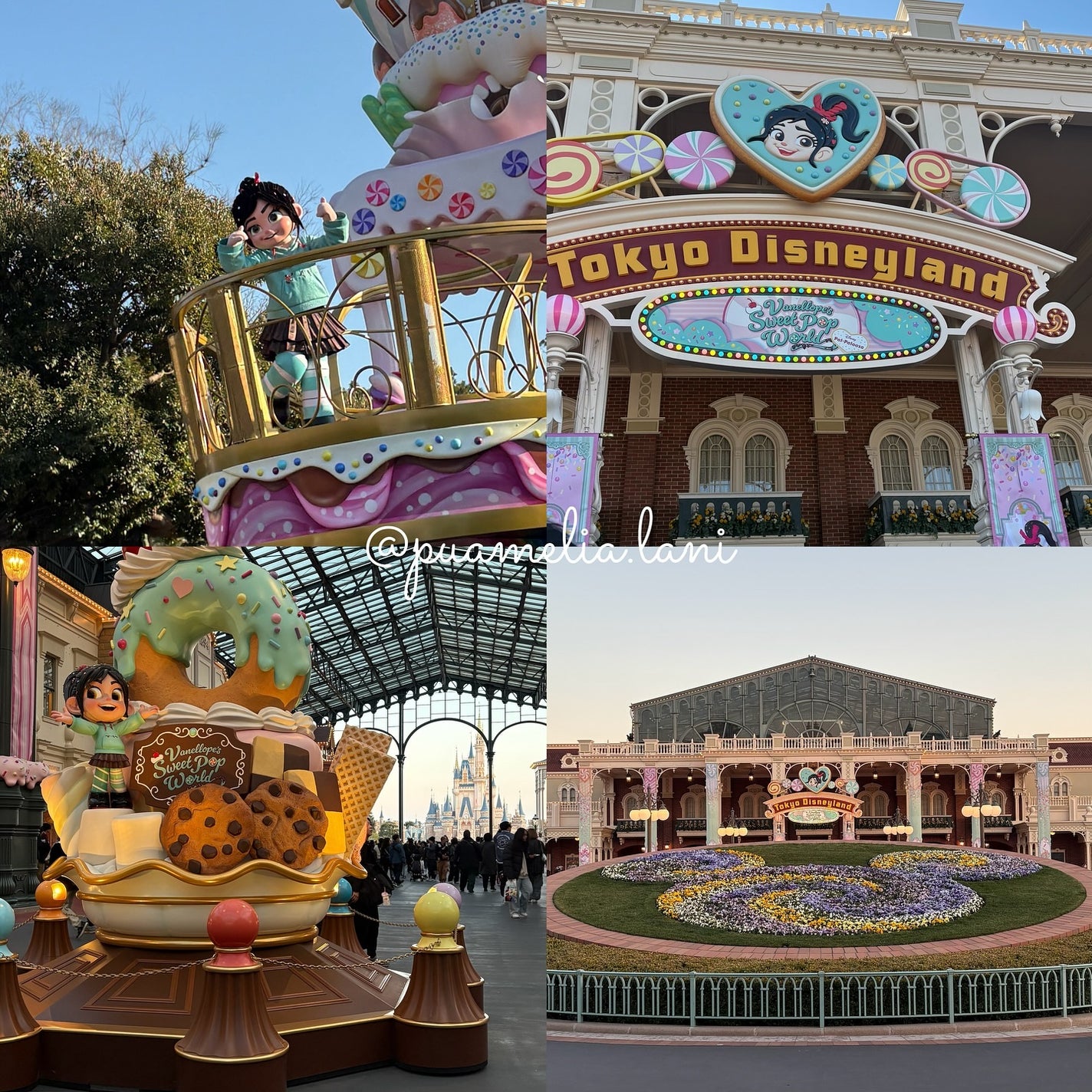 チャームスティックジェル/OMD/オールインワンネイルを使ったクチコミ(8枚目)