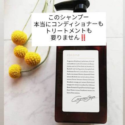 クレイクリームシャンプー(モイスト)/cocone/市販シャンプーを使ったクチコミ(1枚目)