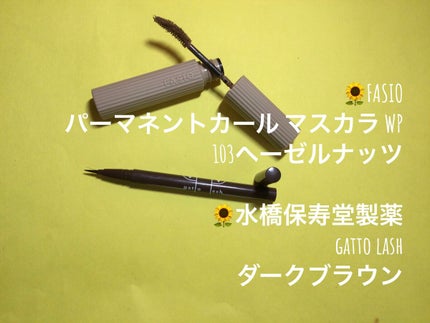 gatto lash ガットラッシュ/水橋保寿堂製薬/リキッドアイライナーを使ったクチコミ(5枚目)
