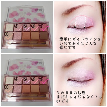 プロ アイ パレット/CLIO/アイシャドウパレットを使ったクチコミ(5枚目)