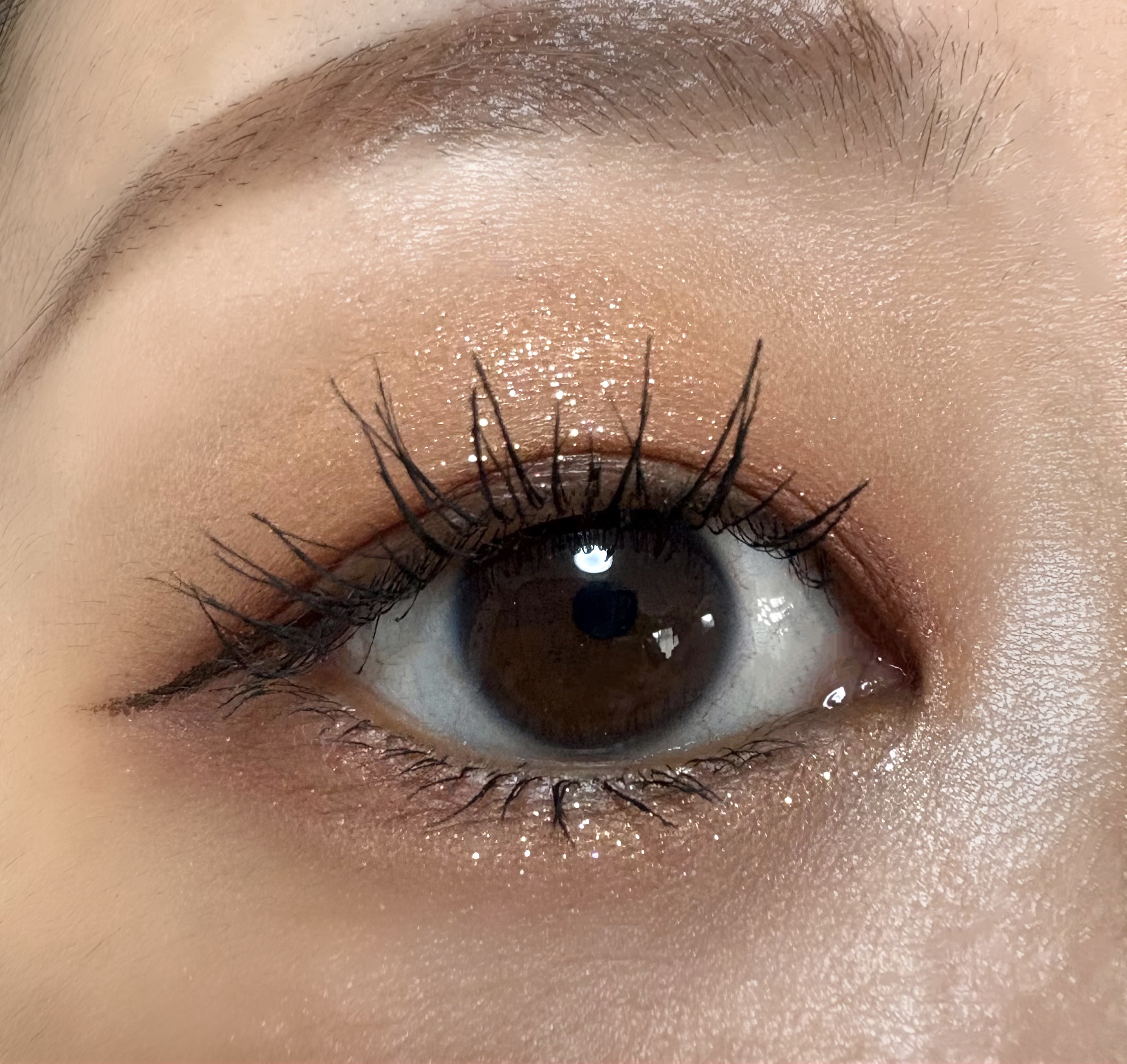 セルヴォーク ヴァティック アイパレット EX14 Front Row/Celvoke/アイシャドウパレットを使ったクチコミ（2枚目）