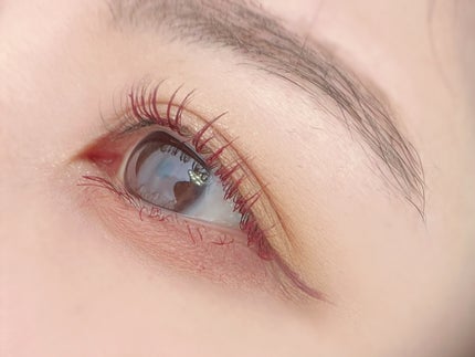 トーン ペタル フロート アイパレット/to/one/アイシャドウパレットを使ったクチコミ(5枚目)