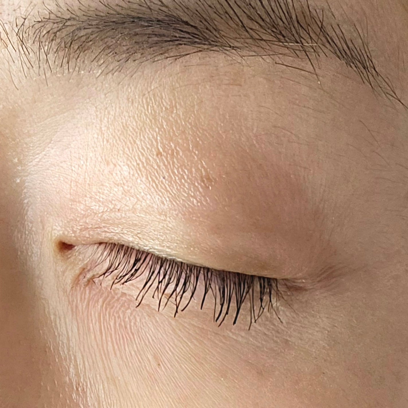 ミスナイン ザパーフェクトマスカラ ファイバー/ARTISTIC&CO./マスカラを使ったクチコミ(3枚目)