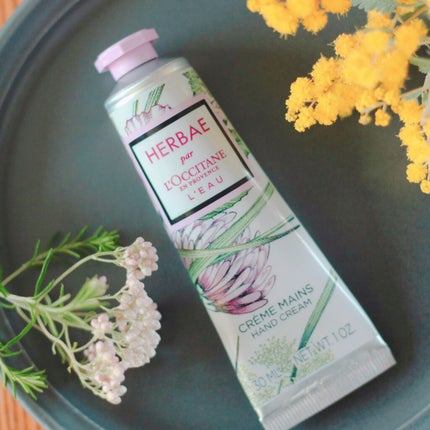 エルバブランシュ ハンドクリーム/L'OCCITANE/ハンドクリームを使ったクチコミ(1枚目)