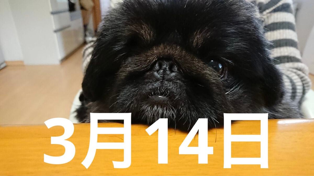 みほ on LIPS 「おはようございます☀。今日の朝ごはんは(トマト🍅と卵🥚とレタス..」(1枚目)