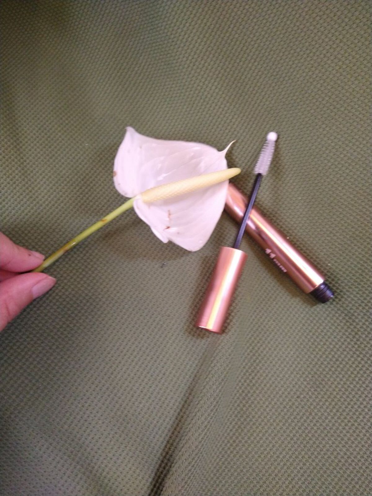 11mmアイラッシュセラム/11mm/まつげ美容液を使ったクチコミ（1枚目）