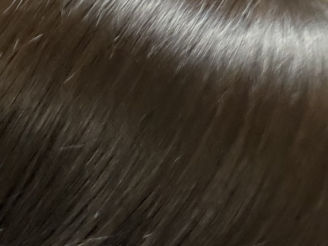 ジルスチュアート サムシングピュアブルー ヘアオイル リペア&グロウ/JILL STUART/ヘアオイルを使ったクチコミ（3枚目）