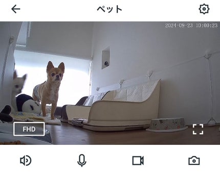 ぷぅぴぃ《紫コス部💜💗》 on LIPS 「大切な家族やペットを見守りませんか?✨Amazon購入品✨Wa..」(5枚目)