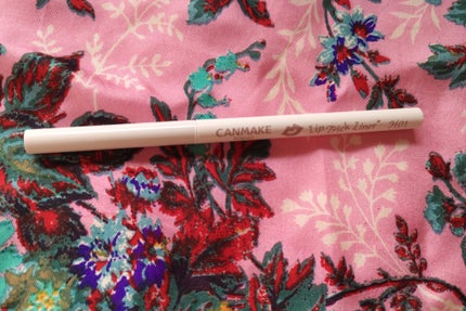 リップトリックライナー/キャンメイク/リップライナーを使ったクチコミ(4枚目)