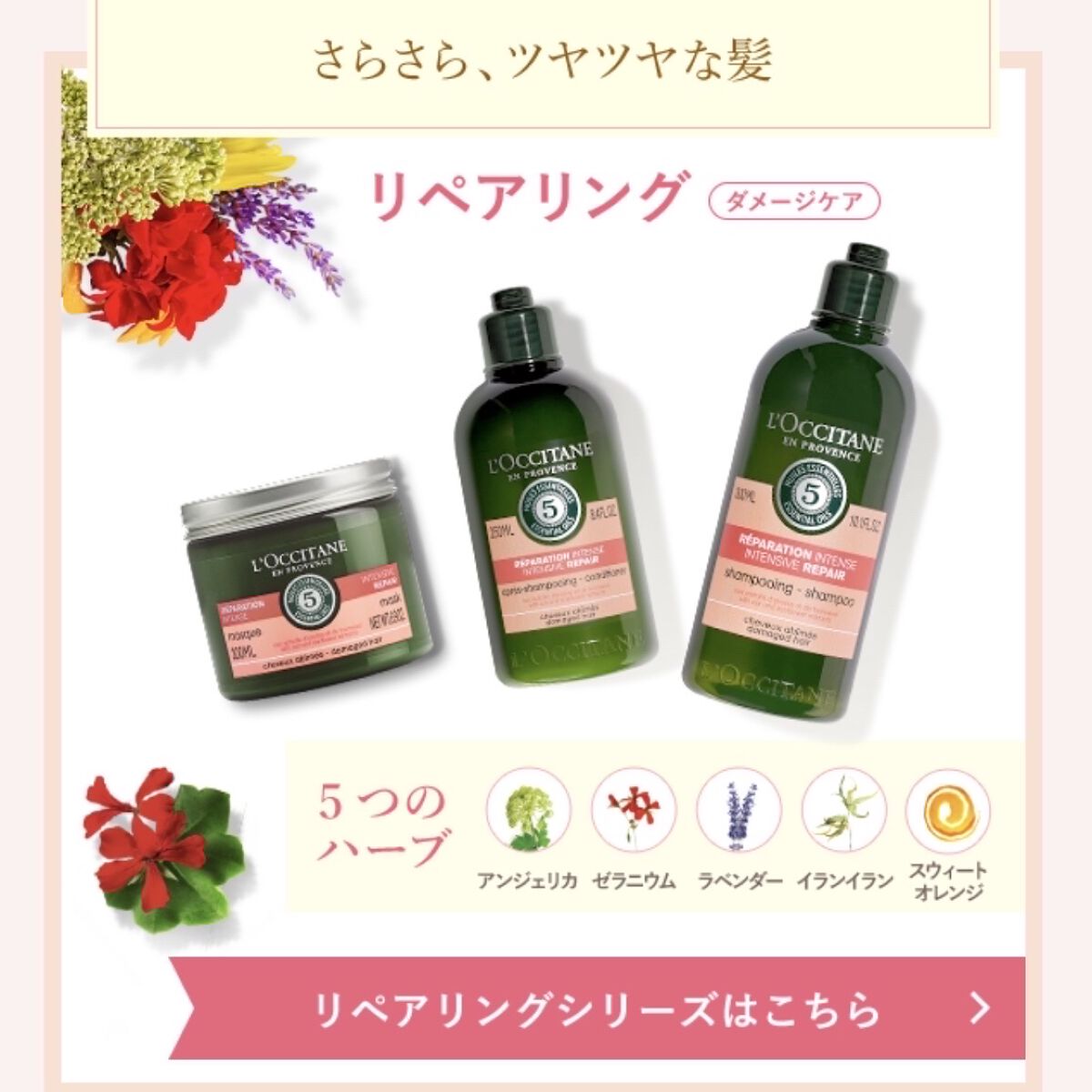 ファイブハーブスリペアリングシャンプー／コンディショナー/L'OCCITANE/シャンプー・コンディショナーを使ったクチコミ（2枚目）