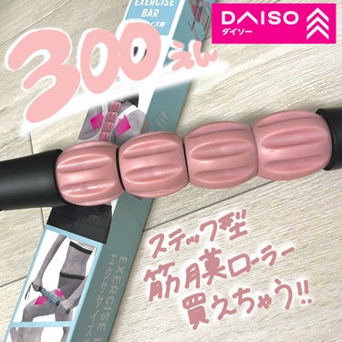 エクササイズ棒/DAISO/その他を使ったクチコミ（1枚目）