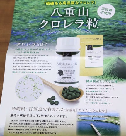 八重山クロレラ粒/麗幸/健康サプリメントを使ったクチコミ(4枚目)