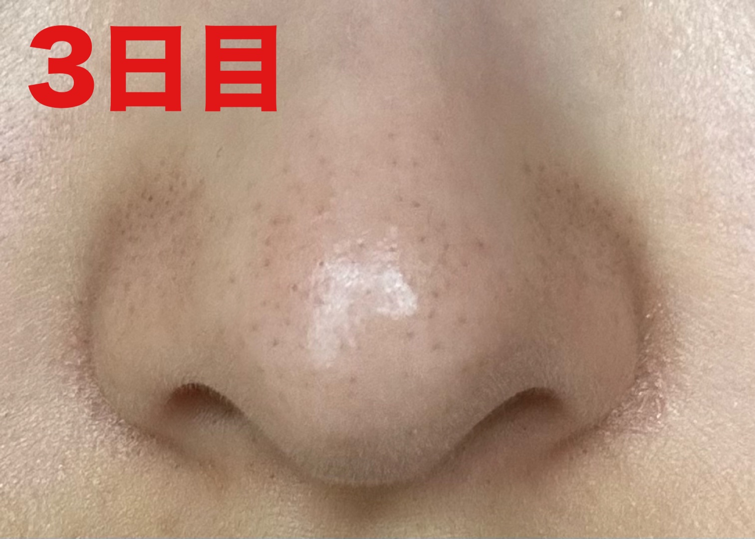 泥ジェル洗顔/ファンケル/その他洗顔料を使ったクチコミ（2枚目）