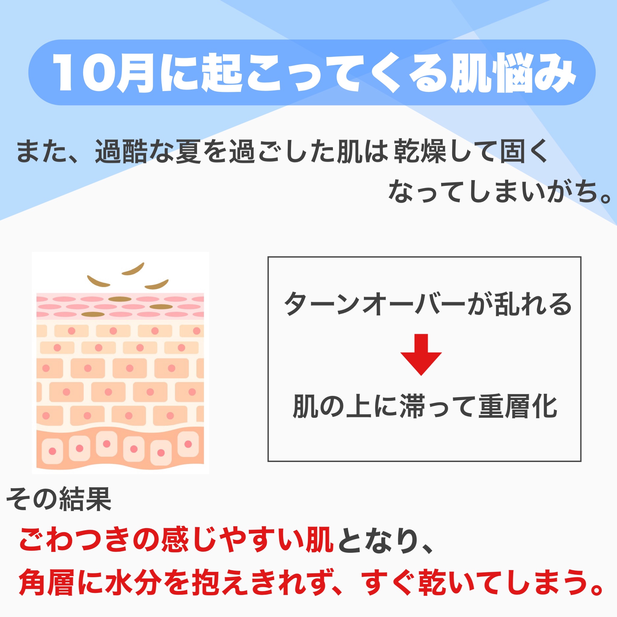 ザ・タイムR アクア/IPSA/化粧水を使ったクチコミ（3枚目）