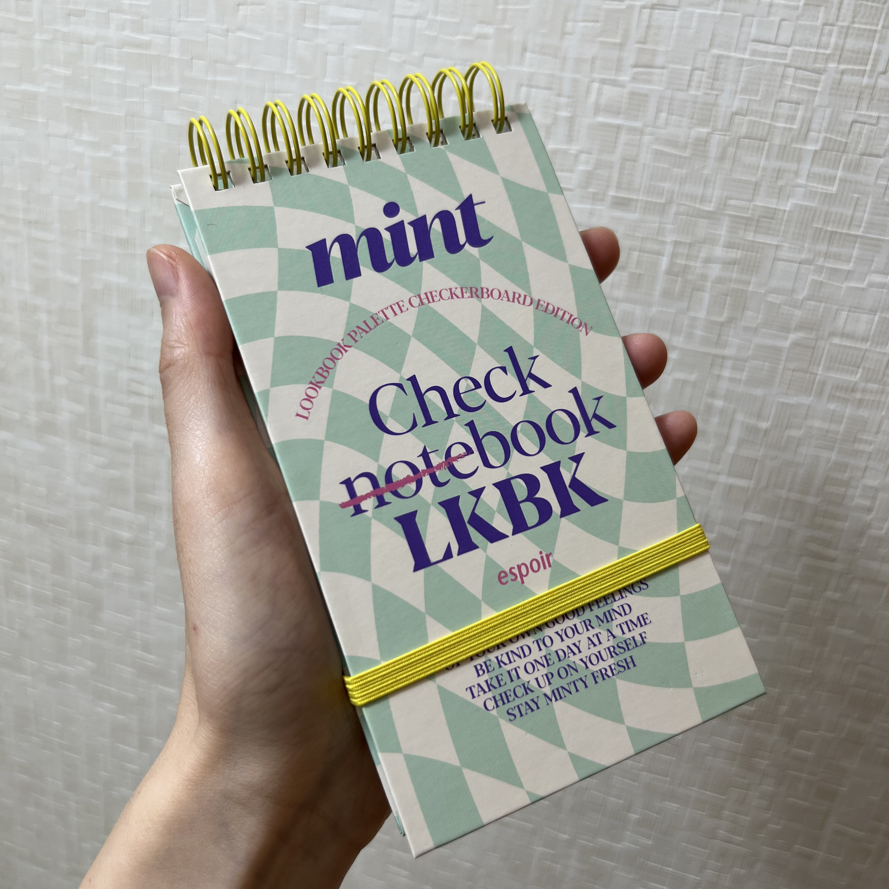 22S/Sルックブック ミントチェック/espoir/アイシャドウパレットを使ったクチコミ（2枚目）