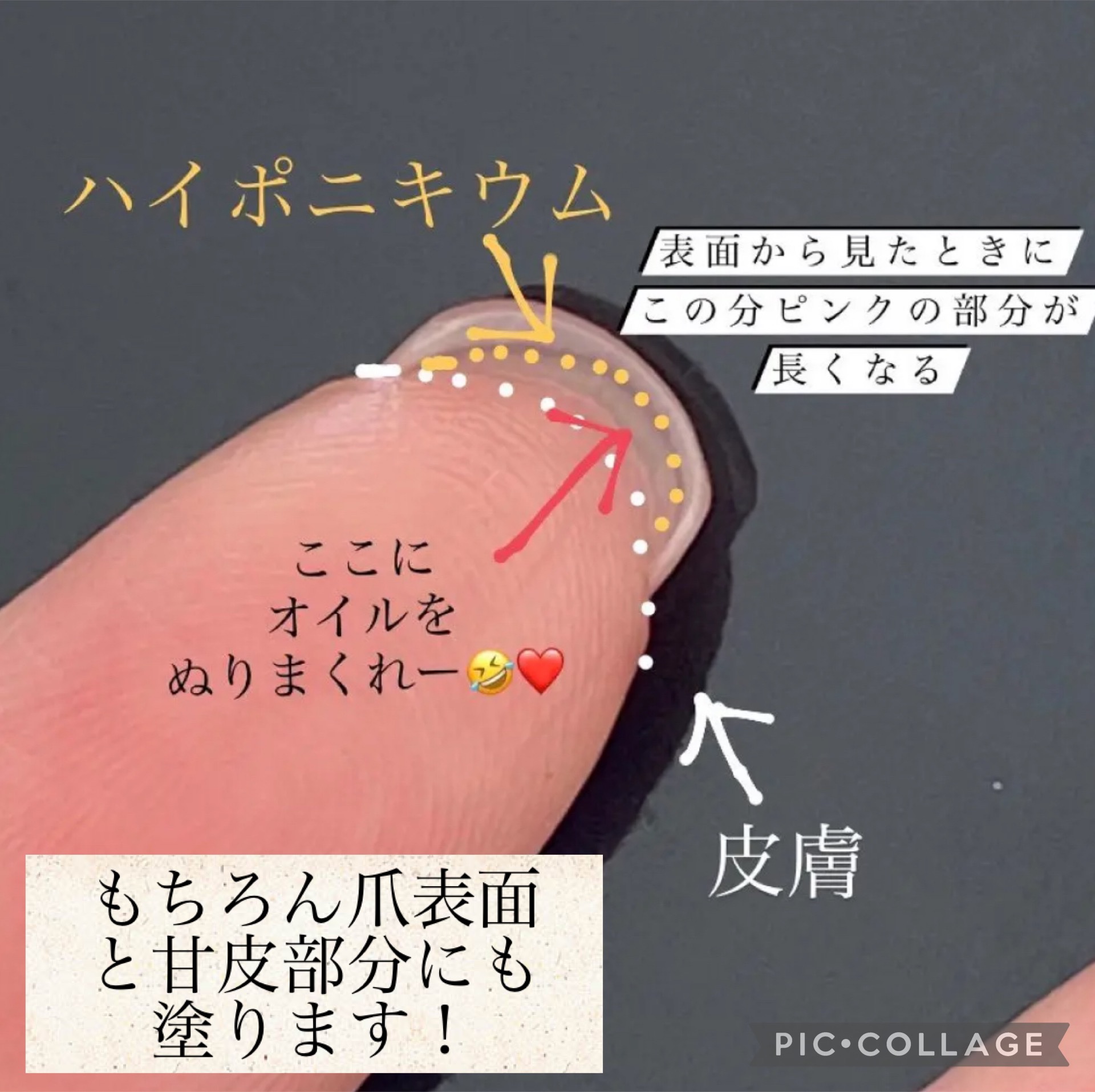 RMK ネイルケア ジェルオイル N/RMK/ネイルオイル・トリートメントを使ったクチコミ（3枚目）