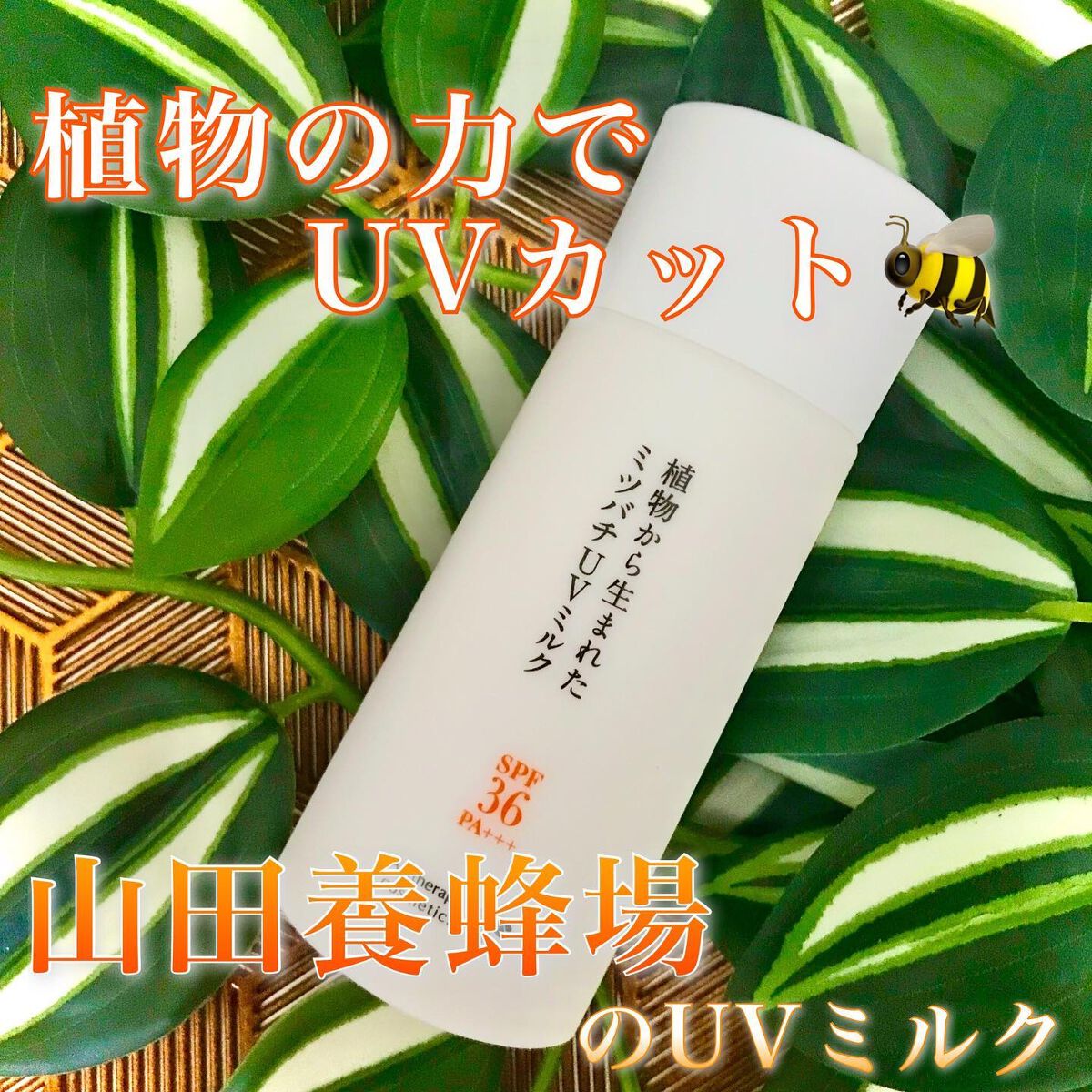 植物から生まれたミツバチUVミルク/アピセラピーコスメティクス/日焼け止めミルクを使ったクチコミ（1枚目）