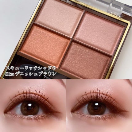 スキニーリッチシャドウ SR12 デニッシュブラウン(限定)/excel/アイシャドウパレットを使ったクチコミ(2枚目)