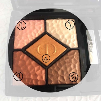 サンク クルール<ワイルド アース>/Dior/アイシャドウパレットを使ったクチコミ(2枚目)