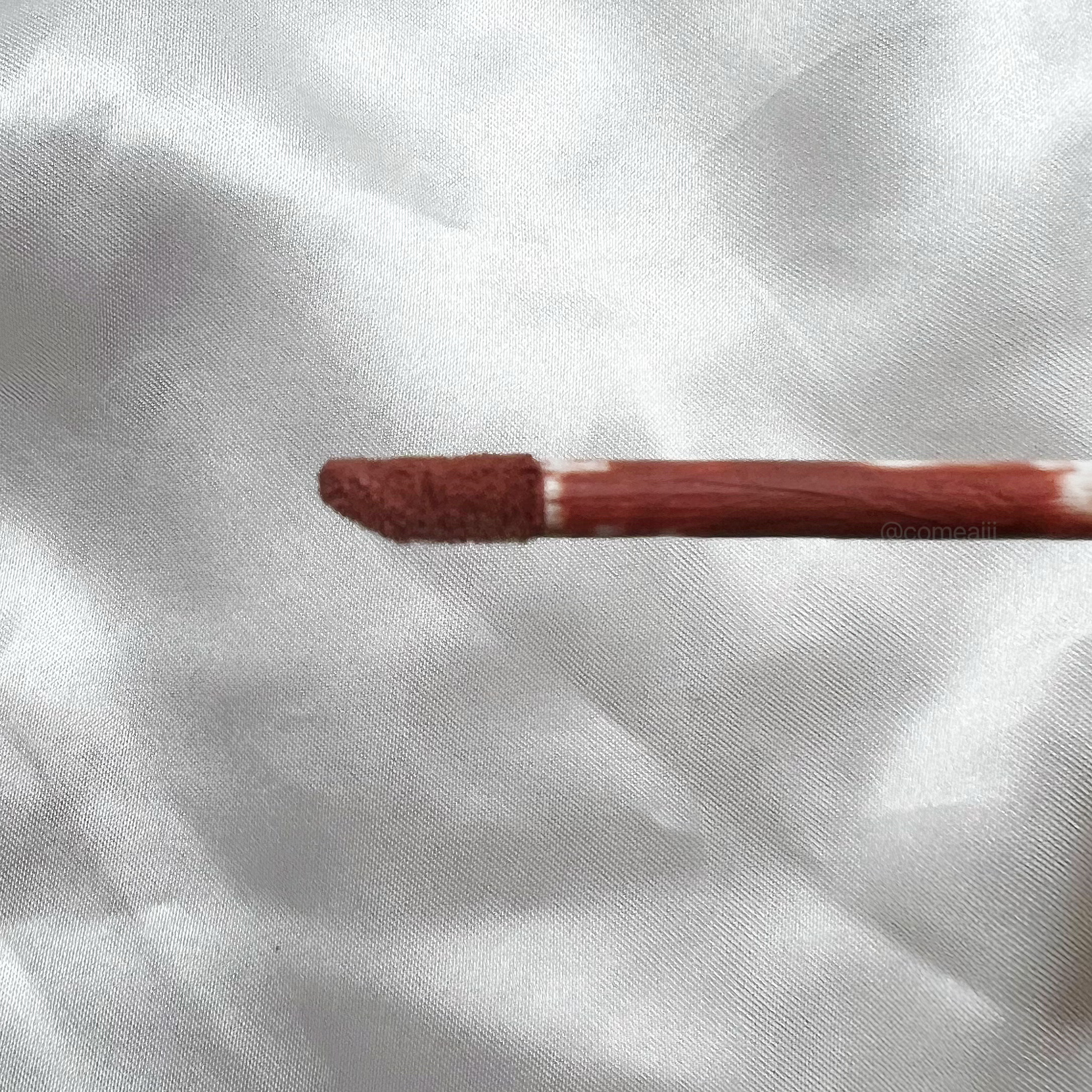 マットヴェールティント 03 プリエベージュ/LIPGUARDIAN/リップティントを使ったクチコミ（3枚目）