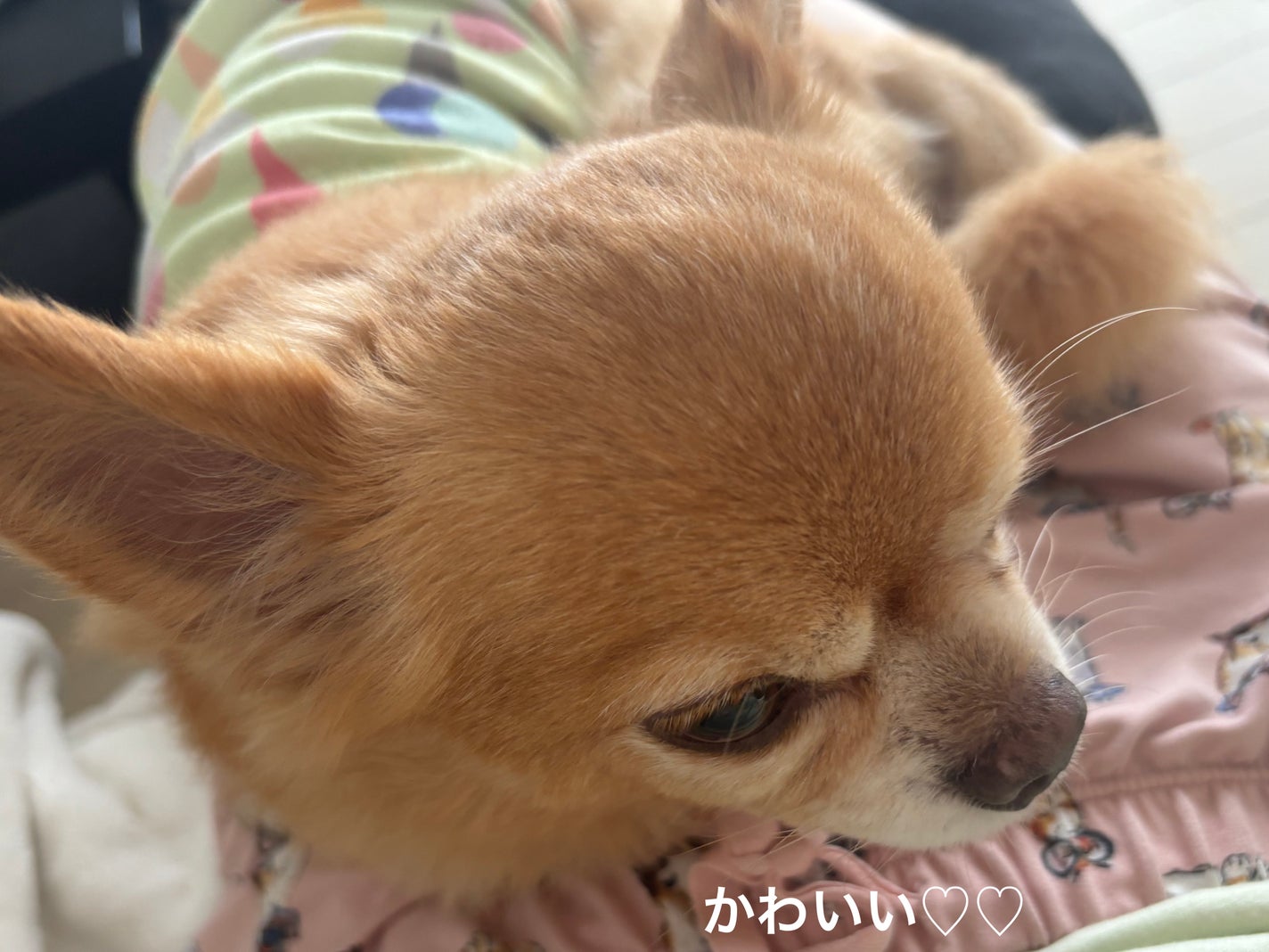 めぐりズム 蒸気でホットアイマスク 無香料/めぐりズム/ホットアイマスクを使ったクチコミ(5枚目)