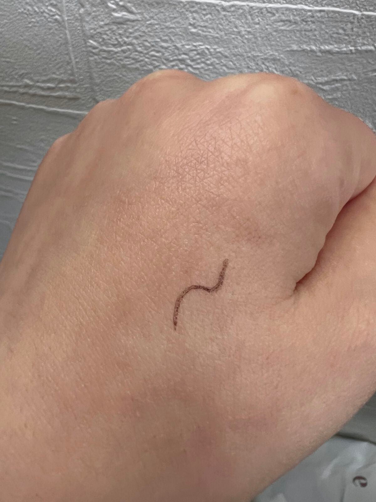 ラスティングリキッドライナー/キャンメイク/リキッドアイライナーを使ったクチコミ(2枚目)