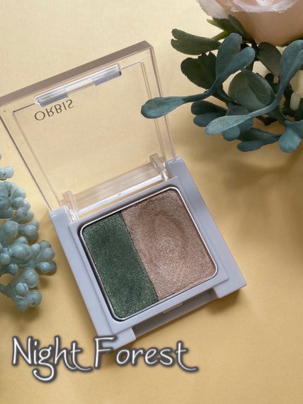 ツイングラデーションアイカラー/オルビス/アイシャドウパレットを使ったクチコミ(2枚目)