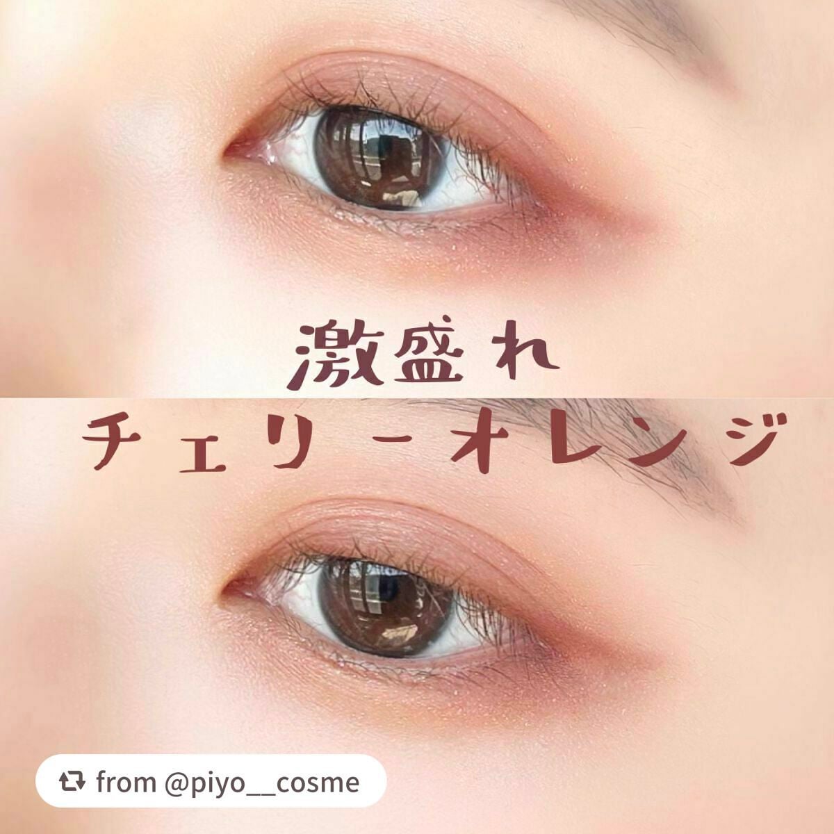 パノラマデザイン アイパレット/Visée/アイシャドウパレットを使ったクチコミ(1枚目)