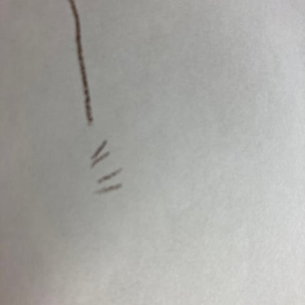 キル ブロウ オート ハード ブロウ ペンシル/CLIO/アイブロウペンシルを使ったクチコミ(4枚目)