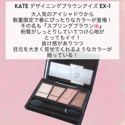 デザイニングブラウンアイズ/KATE/アイシャドウパレットを使ったクチコミ(2枚目)