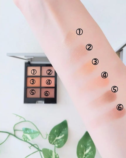 MY MIXED PALETTE 6色カスタムパレット/MN/マルチパレットを使ったクチコミ(6枚目)