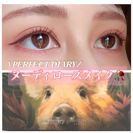 エクスプローラ12色 動物アイシャドウパレット/PERFECT DIARY/アイシャドウパレットを使ったクチコミ(1枚目)