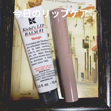 キールズ リップ バーム No.1/Kiehl's/リップケア・リップクリームを使ったクチコミ（1枚目）