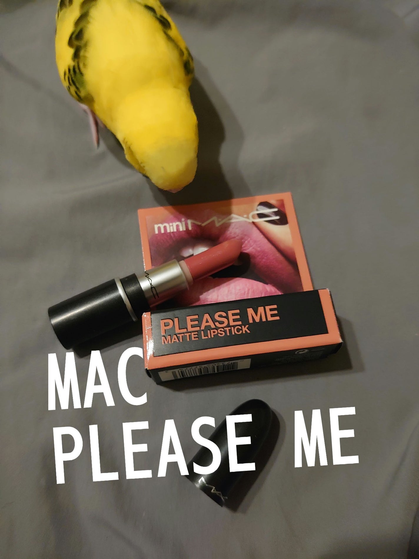 リップスティック/M・A・C/口紅を使ったクチコミ(1枚目)