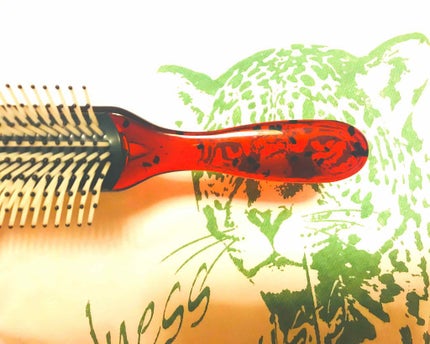 べっ甲調 ヘアブラシ/DAISO/ヘアブラシを使ったクチコミ(1枚目)