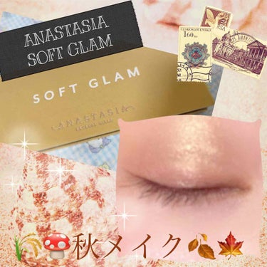 SOFT GLAM アイシャドウ パレット/アナスタシア ビバリーヒルズ/アイシャドウパレットを使ったクチコミ（1枚目）