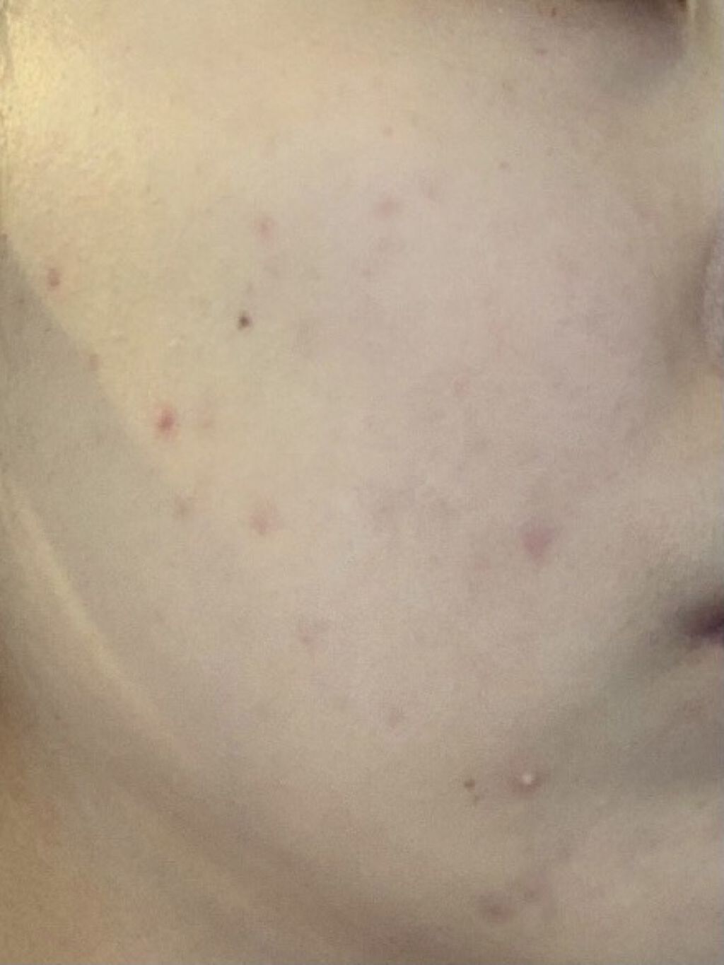 クリスタルパウダー/TOUT VERT/その他スキンケアを使ったクチコミ（1枚目）