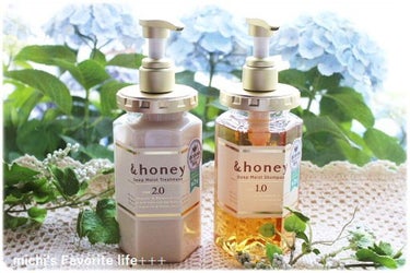 ディープモイスト シャンプー1.0／ヘアトリートメント2.0/&honey/シャンプー・コンディショナーを使ったクチコミ（3枚目）