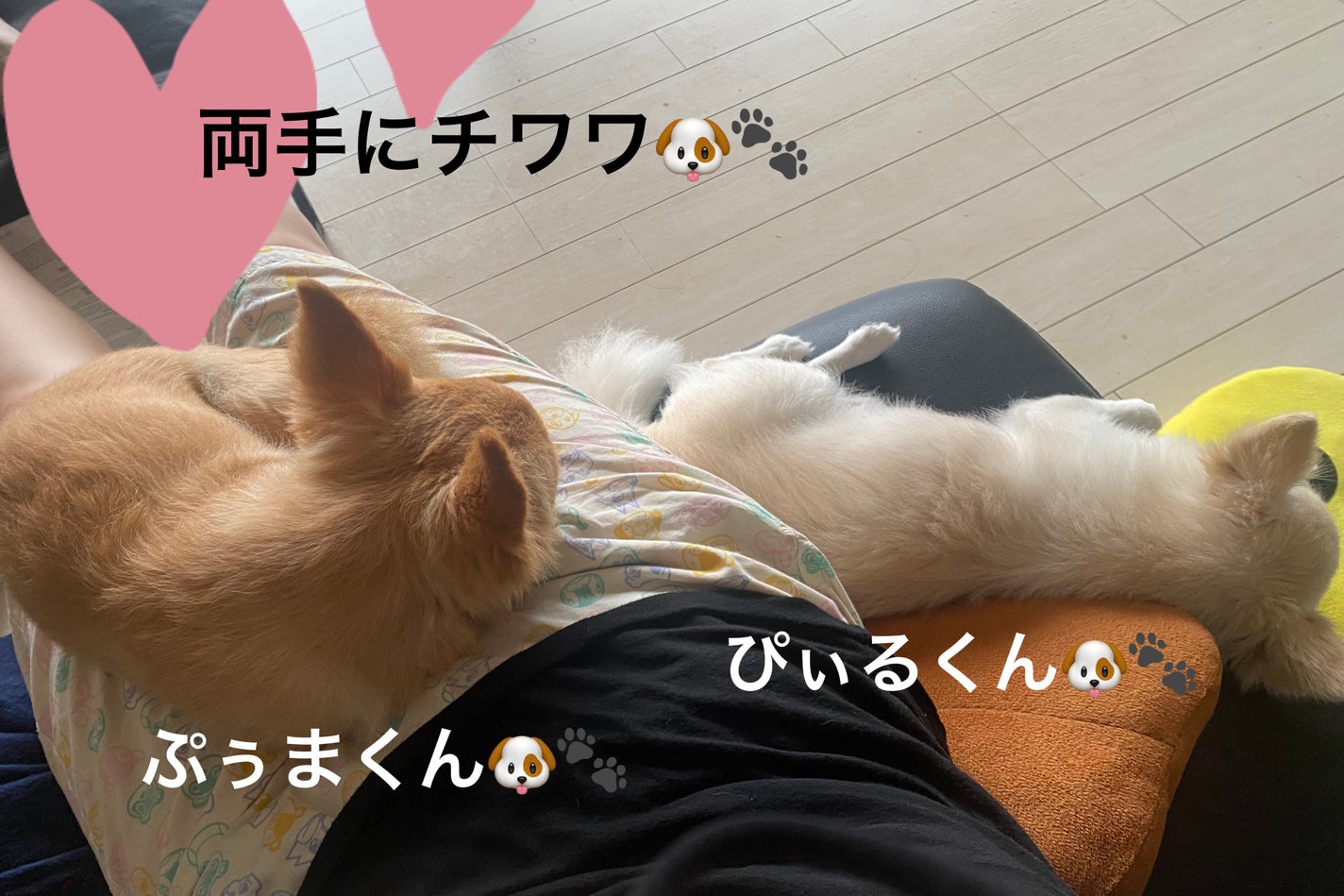 ホワイトリリー ファブリックソフナー/SHIRO/柔軟剤を使ったクチコミ(6枚目)