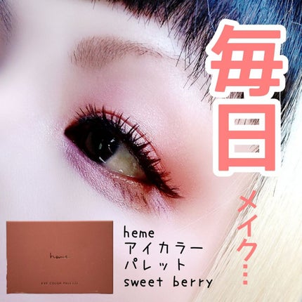 アイカラーパレット/heme/アイシャドウパレットを使ったクチコミ(1枚目)