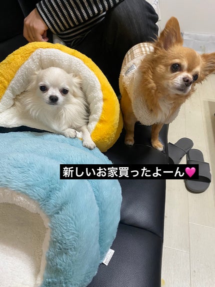 アイカラーレーション/LUNASOL/アイシャドウパレットを使ったクチコミ(10枚目)