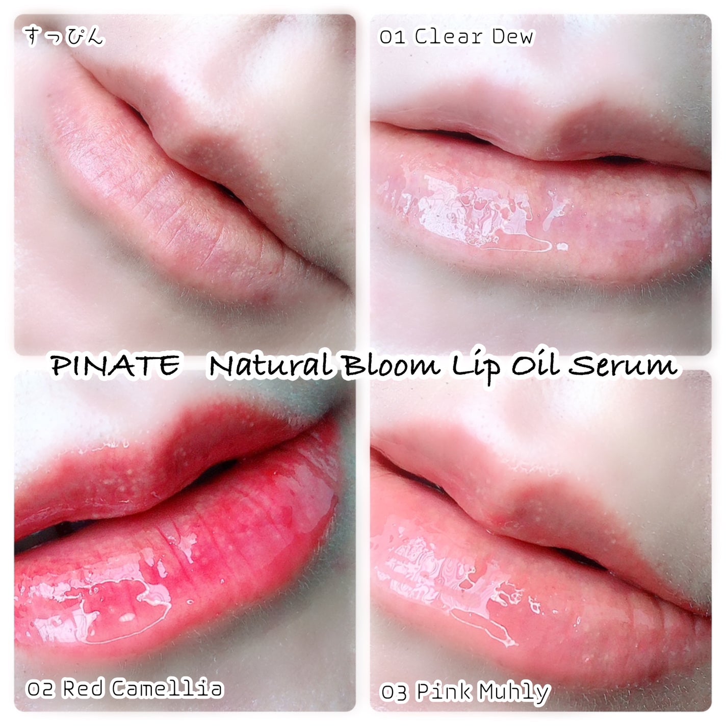 ナチュラルブルームリップオイルセラム 3色セット/PINATE/リップグロスを使ったクチコミ(2枚目)